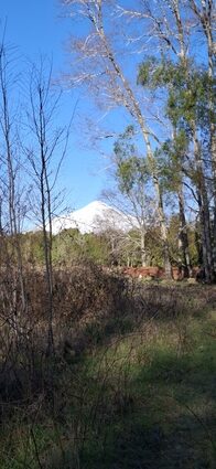 A - 448 PARCELAS RURALES CON VISTA AL VOLCÁN  - CONQUIL VILLARRICA